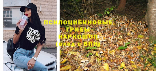 spice Михайловка