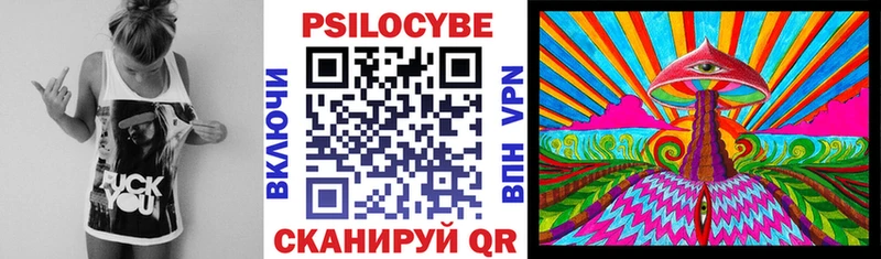 закладки Кумертау blacksprut ссылки Псилоцибиновые грибы Magic Shrooms