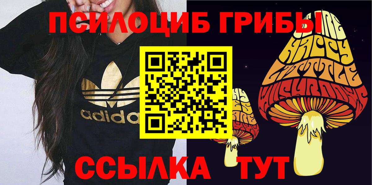 Псилоцибиновые грибы Psilocybe  Галлюциногенные грибы мухоморы  Кумертау 